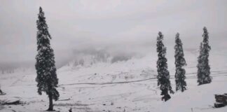 Light Snowfall Likely Over Higher Reaches as Rain Forecast for J&K