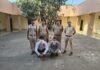 Haryana CM Assures Safety of J&K Visitors, Says Two Arrested After Parking Dispute
