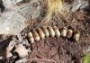 Nine MGL Grenades Recovered During Army Operation in J&K’s Rajouri