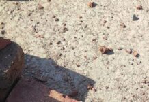 Grenade Recovered In J&K’s Rajouri
