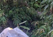 Aeroplane-Shaped PIA Balloon Found in J&K’s Rajouri