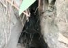Security forces recover suspected IEDs, ammunition from hideout in J&K’s Poonch