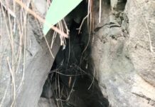 Security forces recover suspected IEDs, ammunition from hideout in J&K’s Poonch