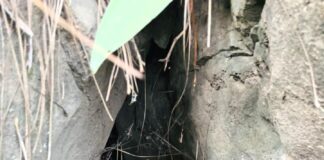 Security forces recover suspected IEDs, ammunition from hideout in J&K’s Poonch